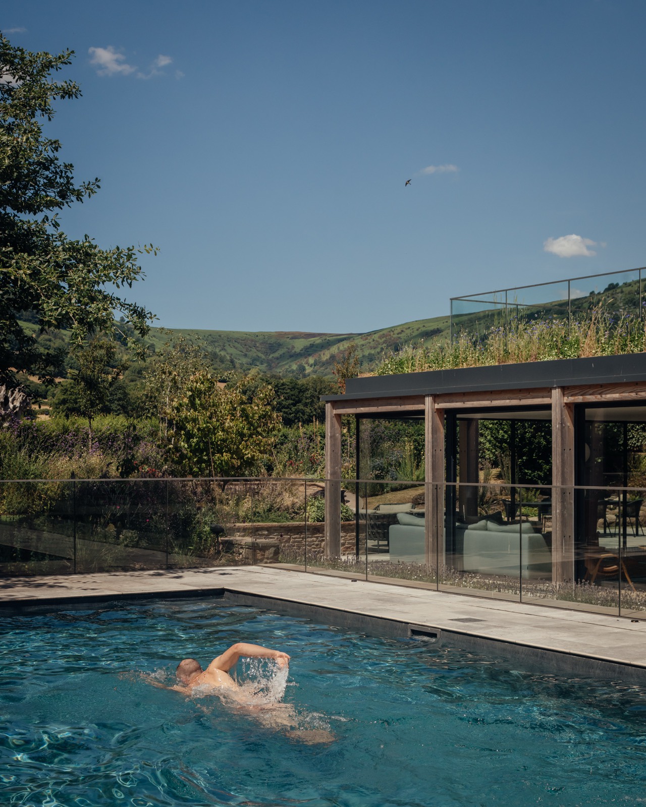The extension's glazing and green roof along the pool