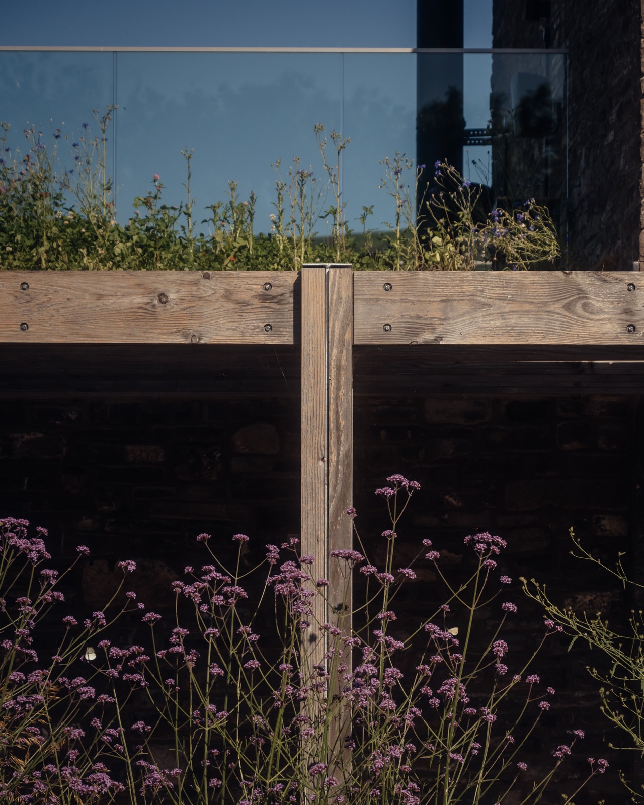 Timber posts against the planting
